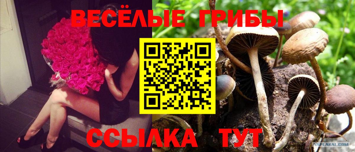 Псилоцибиновые грибы Psilocybe  Галлюциногенные грибы Magic Shrooms  Бузулук  цена   Вход с VPN 