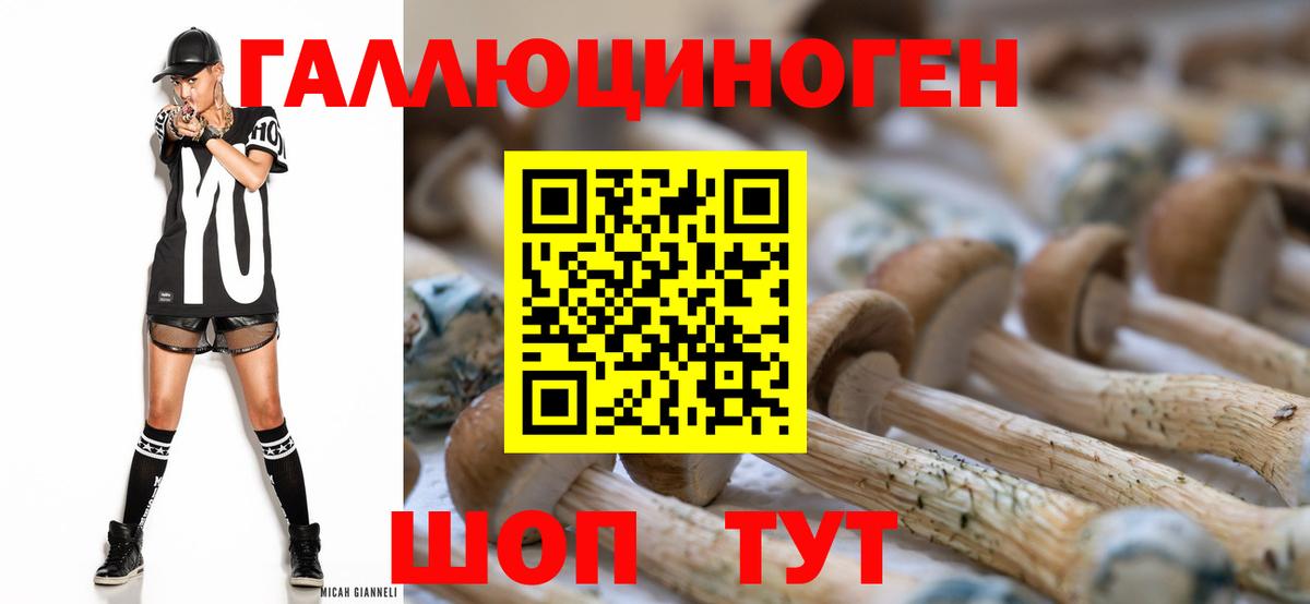 Галлюциногенные грибы прущие грибы Бузулук